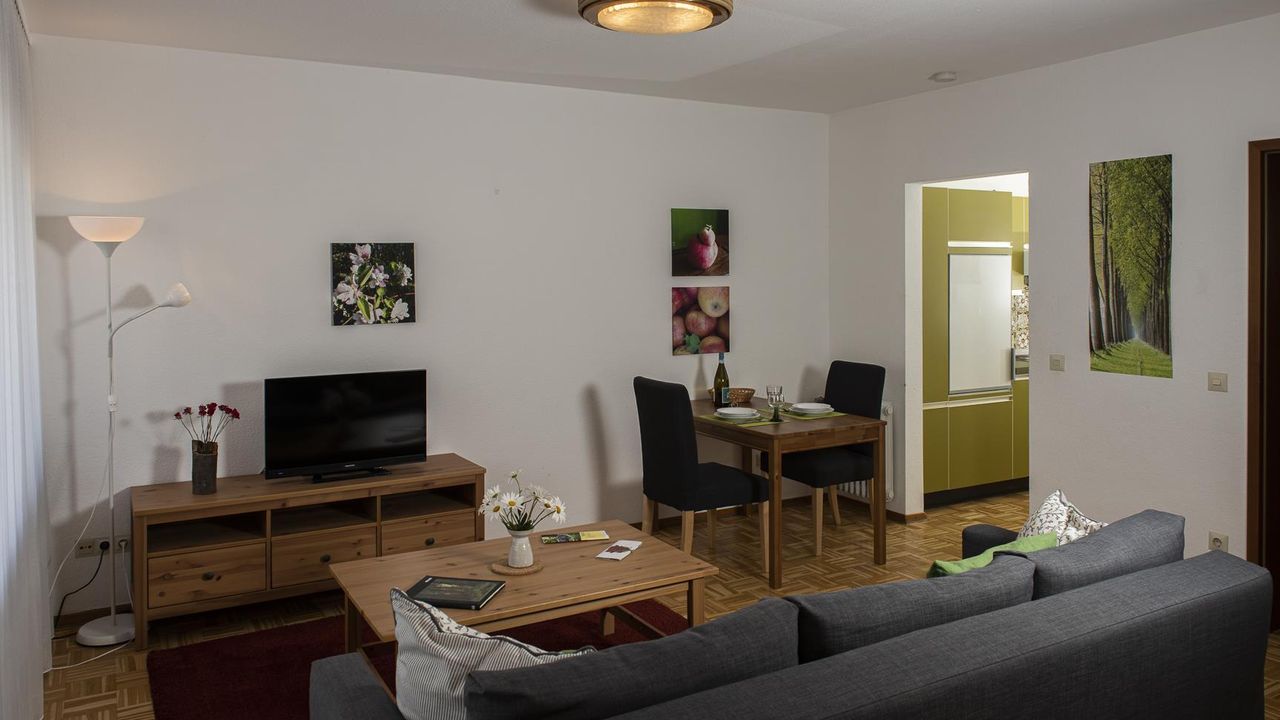 Wohnbereich mit TV Wohnbereich mit TV